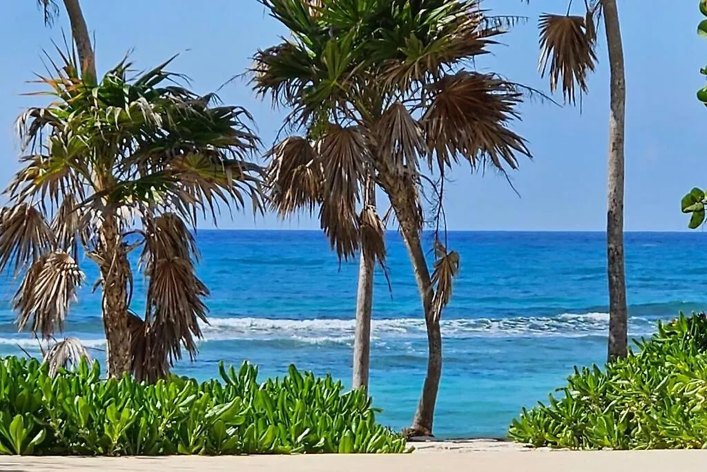 Apartment Ferienwohnung A Sanctuary By The Sea Akumal Mexiko